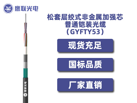 GYFTY53-2~6芯，松套层绞式非金属加强芯普通铠装光缆，室外光缆价格